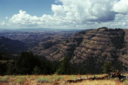 Potamus Point, in Umatilla National Forest