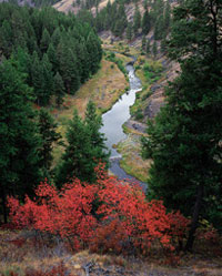 Meadow Creek, near Ukiah