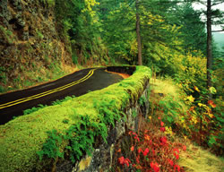 Photo of a section of the Columbia River Highway