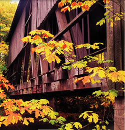 The Cottage Grove Covered Bridge Tour Tripcheck Oregon