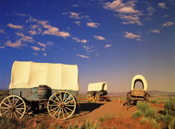 Covered Wagons