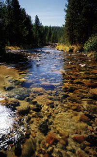 North Fork, John Day River