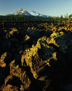 Lava Field