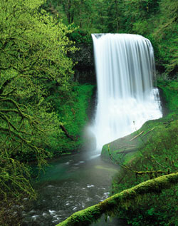 The Silver Falls Scenic Byway Tripcheck Oregon Traveler Information